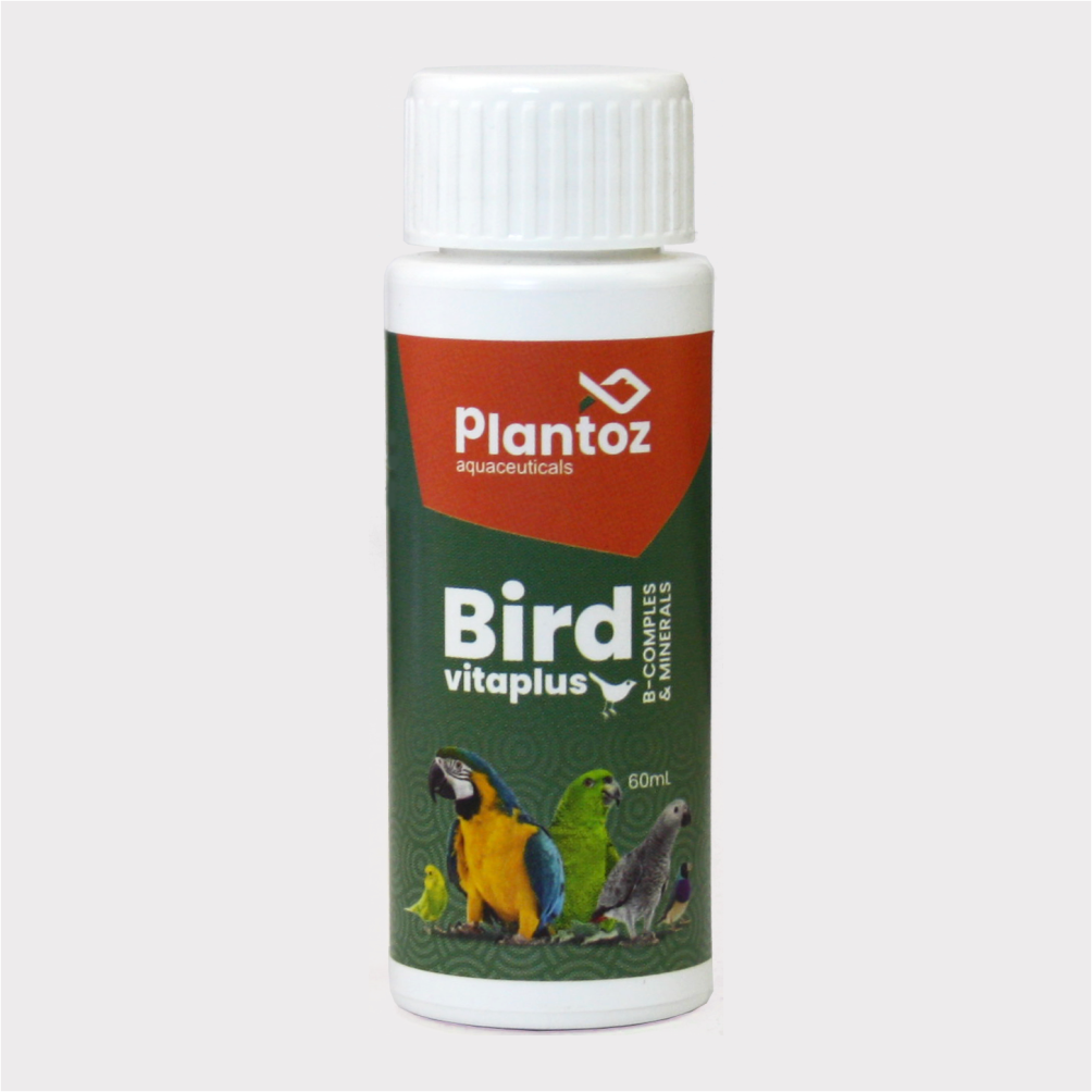 BIRD VITA PLUS