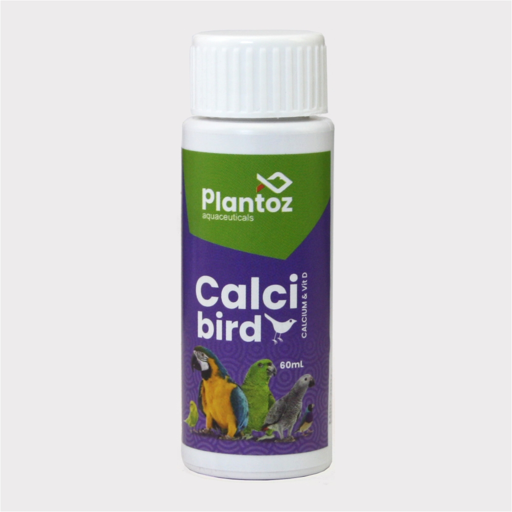 CALCI BIRD
